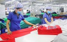 Chăm lo vốn quý để ổn định sản xuất