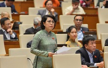 ĐB Tô Thị Bích Châu: Hàng cứu trợ về TP HCM 1 tháng chưa lấy ra được
