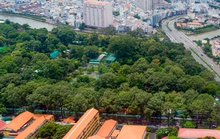 Giữ gìn và phát triển mảng xanh cho TP HCM