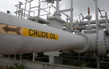 Giá dầu nhạy cảm trước biến thể Omicron