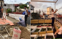 Dỡ mái nhà làm vườn