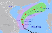 Bão số 9 cách Quảng Ngãi-Bình Định khoảng 180 km, đảo Lý Sơn gió giật cấp 9