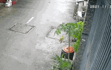 CLIP: Hai người đàn ông làm chuyện nhẫn tâm, gây dậy sóng mạng xã hội