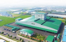GREENFEED Việt Nam và hành trình “Nuôi dưỡng điều lành, đồng hành lớn mạnh” với chuỗi thực phẩm lành 3F plus