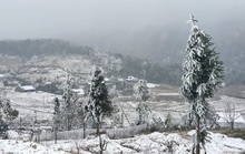 Tuyết rơi trắng xóa trên đỉnh Fansipan