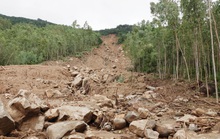 Bình Định công bố tình huống khẩn cấp về sự cố sạt lở núi Cấm