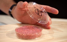 Thịt nhân tạo: Xu thế của tương lai