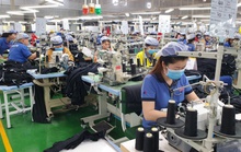 Bình Phước: Hỗ trợ người lao động chuyển đổi nghề nghiệp