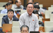 ĐB Nguyễn Quốc Hận: Thành tựu là bao trùm, nhưng Chính phủ còn hiền lành