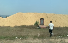 CLIP: Núi cát “khủng” tập kết trái phép trong khu di tích lịch sử ở Bình Định