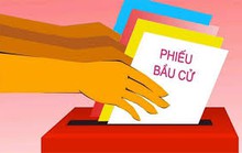 Người bị tạm giam, án treo có quyền bầu cử?