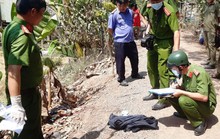 Bắt tạm giam 3 kẻ trộm chó bắn chết chủ nhà