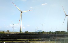 Khánh thành nhà máy điện gió lớn nhất Việt Nam