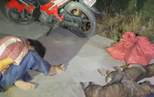 Người dân truy đuổi “cẩu tặc” như phim hành động lúc rạng sáng