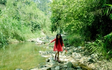 Con gái Đoan Trang, bé tí đã nối nghiệp mẹ