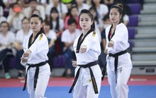 Giải Vô địch Taekwondo toàn quốc sắp diễn ra ở Quảng Nam