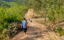 Quảng Bình: Lâm trường bảo kê cho doanh nghiệp khai thác đất trái phép?