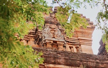 Phú Yên không chỉ có 'hoa vàng trên cỏ xanh'