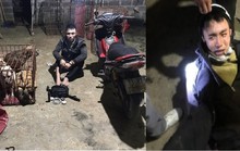 Phá băng trộm chó khét tiếng gây náo loạn ở Quảng Bình