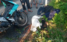 Bắt quả tang kẻ trộm chó mang theo súng điện tự chế, ná thun