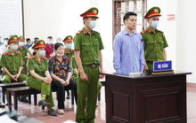 Chống phá nhà nước, 2 mẹ con Cấn Thị Thêu và Trịnh Bá Tư chia nhau 16 năm tù