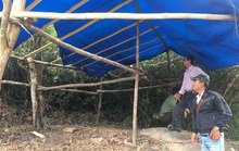Bình Định: Đề nghị điều tra vụ đánh cán bộ, đốt cháy lán trại bảo vệ rừng
