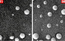 NASA vô tình ghi hình được sự sống ngoài hành tinh?