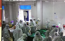 Thai phụ 26 tuổi mắc Covid-19 ở Bắc Giang phải can thiệp ECMO, dùng thuốc an thần
