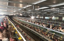 Giải pháp kiểm soát tiểu khí hậu