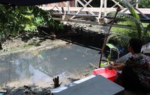 Sông rạch ĐBSCL ô nhiễm nặng