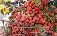 Đừng quên sân nhà!