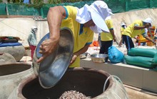 Nhà lều nước mắm nhộn nhịp giữa mùa dịch