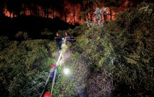 Chưa thể dập tắt hoàn toàn vụ cháy rừng ở Thừa Thiên - Huế
