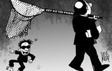 Sai sót trong xét xử vụ án lừa đảo