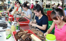 Sẽ truy đóng BHXH cho nhân viên
