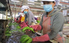 Chờ giảm thêm lãi suất cho vay