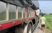 8 người trốn trong thùng xe tải để tránh khai báo y tế