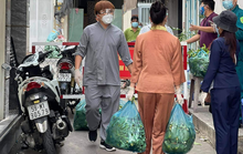 Đại Nghĩa, Nhật Kim Anh... tất bật gửi rau, gạo cho người nghèo