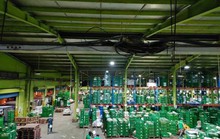 Siêu thị bổ sung nhiều hàng, kêu gọi khách hàng bình tĩnh mua sắm