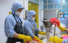Tuyệt đối không để xảy ra sai sót, trục lợi chính sách gói 26.000 tỉ đồng ở Thanh Hóa
