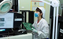 TP HCM: 2 kịch bản cho nhu cầu nhân lực những tháng cuối năm