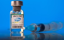 New Zealand lên tiếng về thông tin vắc-xin Pfizer làm tăng kích cỡ vòng 1