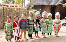 Quỹ Vì Tầm Vóc Việt khởi động dự án “Cùng em khôn lớn” năm thứ 2