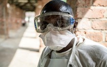 WHO cảnh báo thêm một loại virus lây từ dơi sang người, đã có ca tử vong