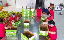 Bước tiến dài của trái cây xuất khẩu