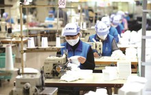 Chính phủ trình miễn, giảm nhiều loại thuế cho người dân, doanh nghiệp theo trình tự rút gọn