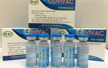 Vắc-xin Covid-19 Covivac sẽ được xem xét, cấp phép khẩn cấp nếu đạt yêu cầu