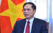 Bộ trưởng Bùi Thanh Sơn: Kiều bào tích cực hợp tác chuyển giao công nghệ vắc-xin
