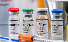 Việt Nam sắp nhận hơn 31 triệu liều vắc-xin Covid-19 Pfizer từ Bỉ
