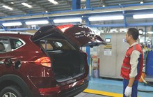Ngành ôtô cần chiếc phao cấp cứu